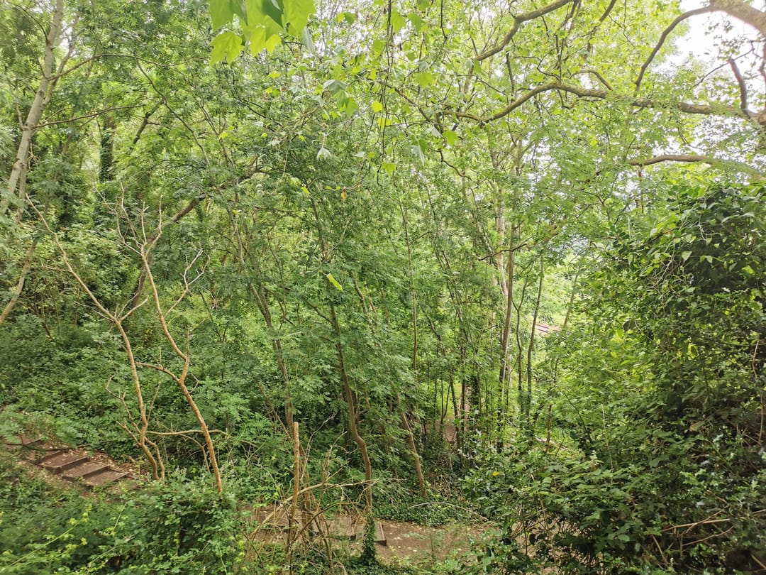 Bishop knoll - image 2