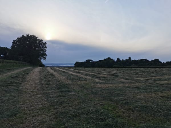 Almondsbury fields and Aztec
