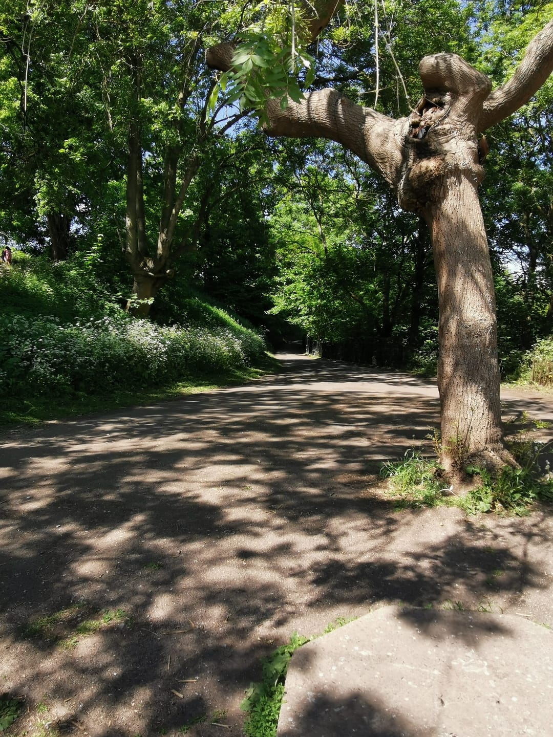 Eastville Park - image 2