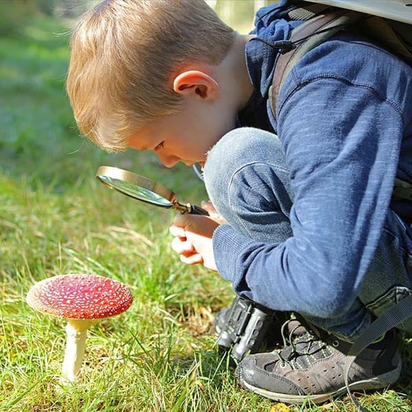 Super Natural October Half Term - WWT Slimbridge