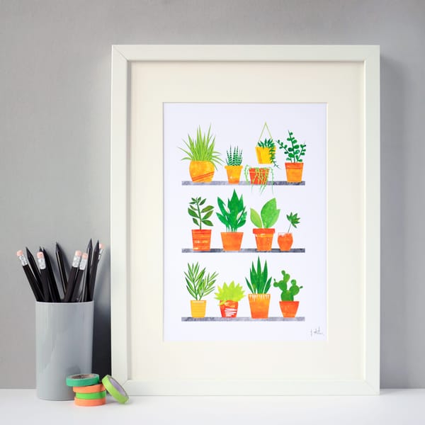 Fiona Clabon Illustration