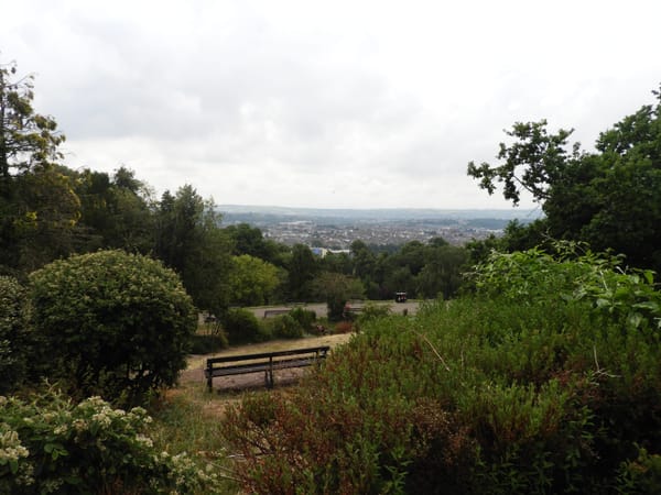 Brandon Hill Nature Reserve