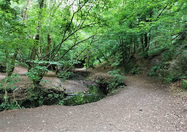 Badocks Wood