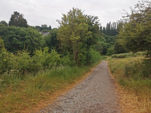 Old Sneed Nature Reserve