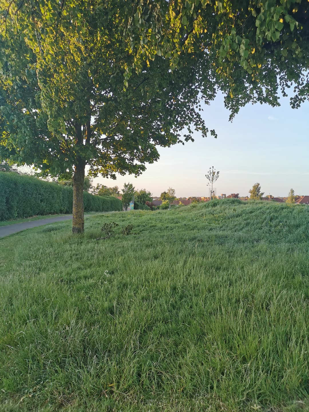 Hillfields Park - image 1