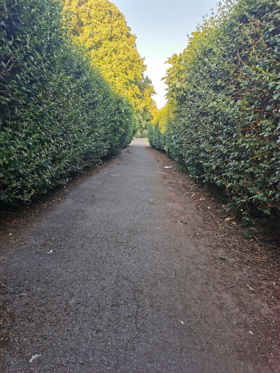 Hillfields Park - image 1
