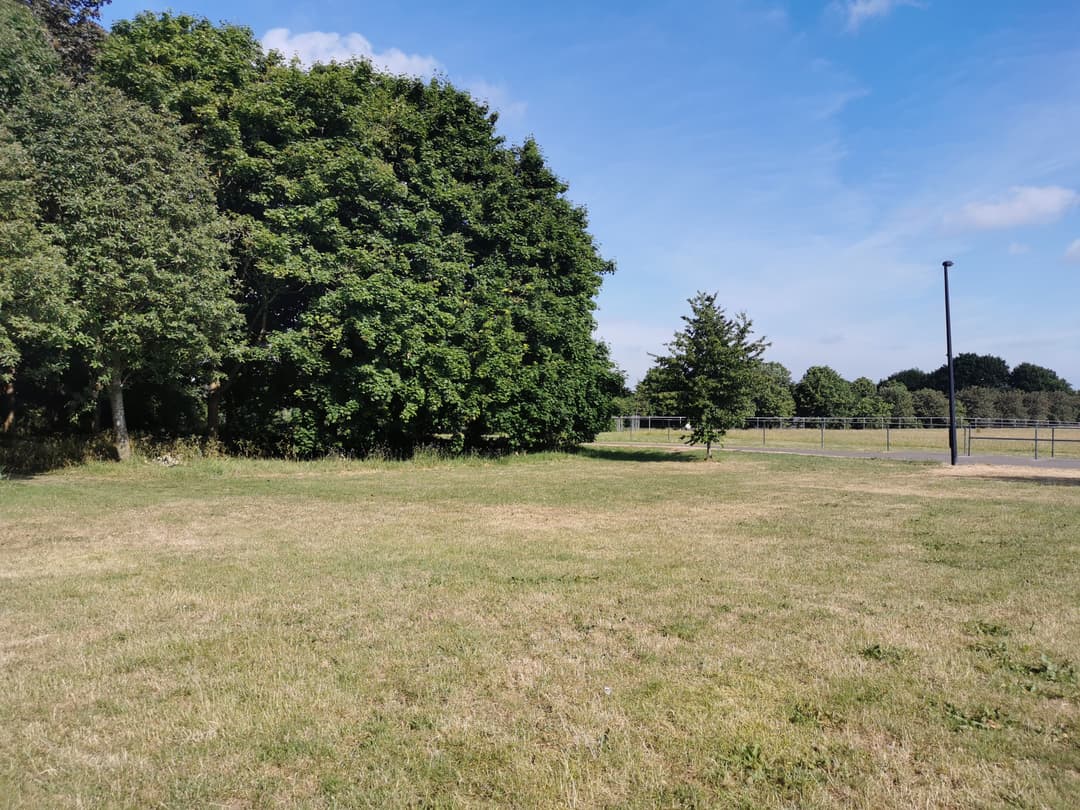 Coombe Brooke Nature Reserve - image 1