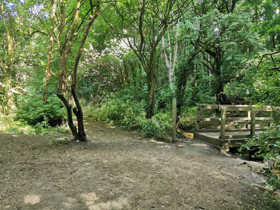 Coombe Brooke Nature Reserve - image 2