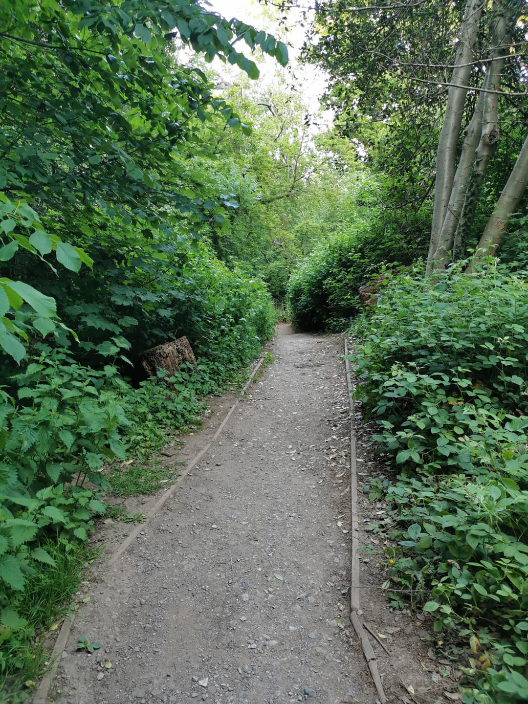 Oldbury Court Estate - image 4