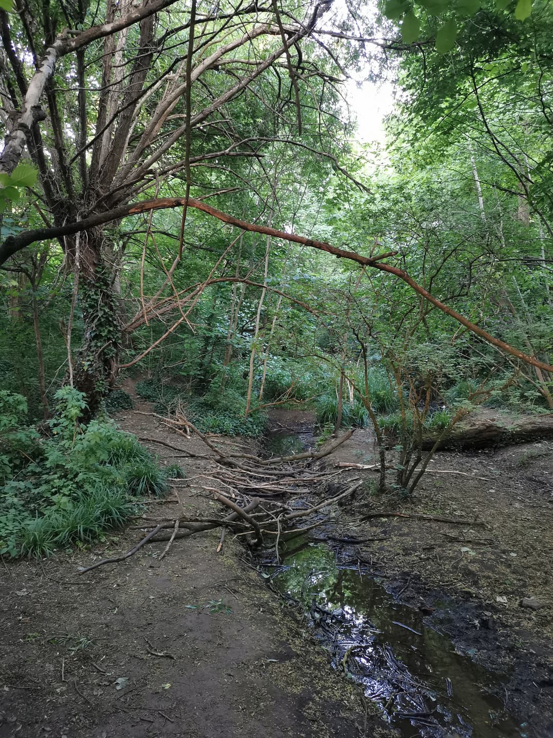 Oldbury Court Estate - image 1