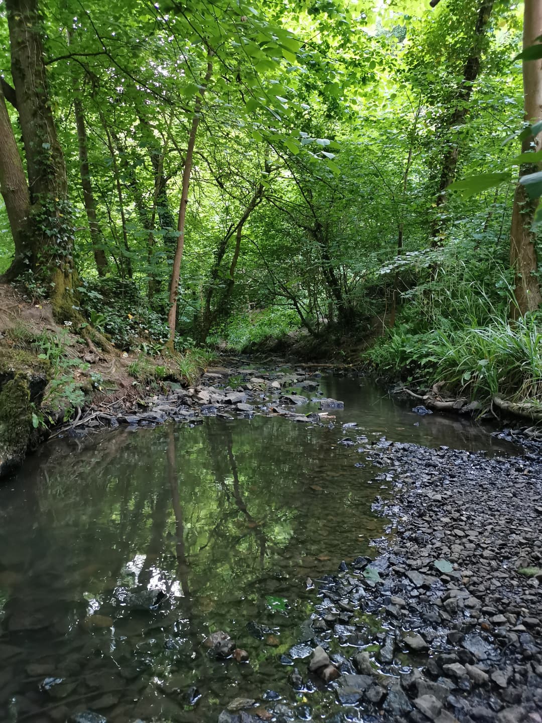 Blaise Castle Estate - image 5