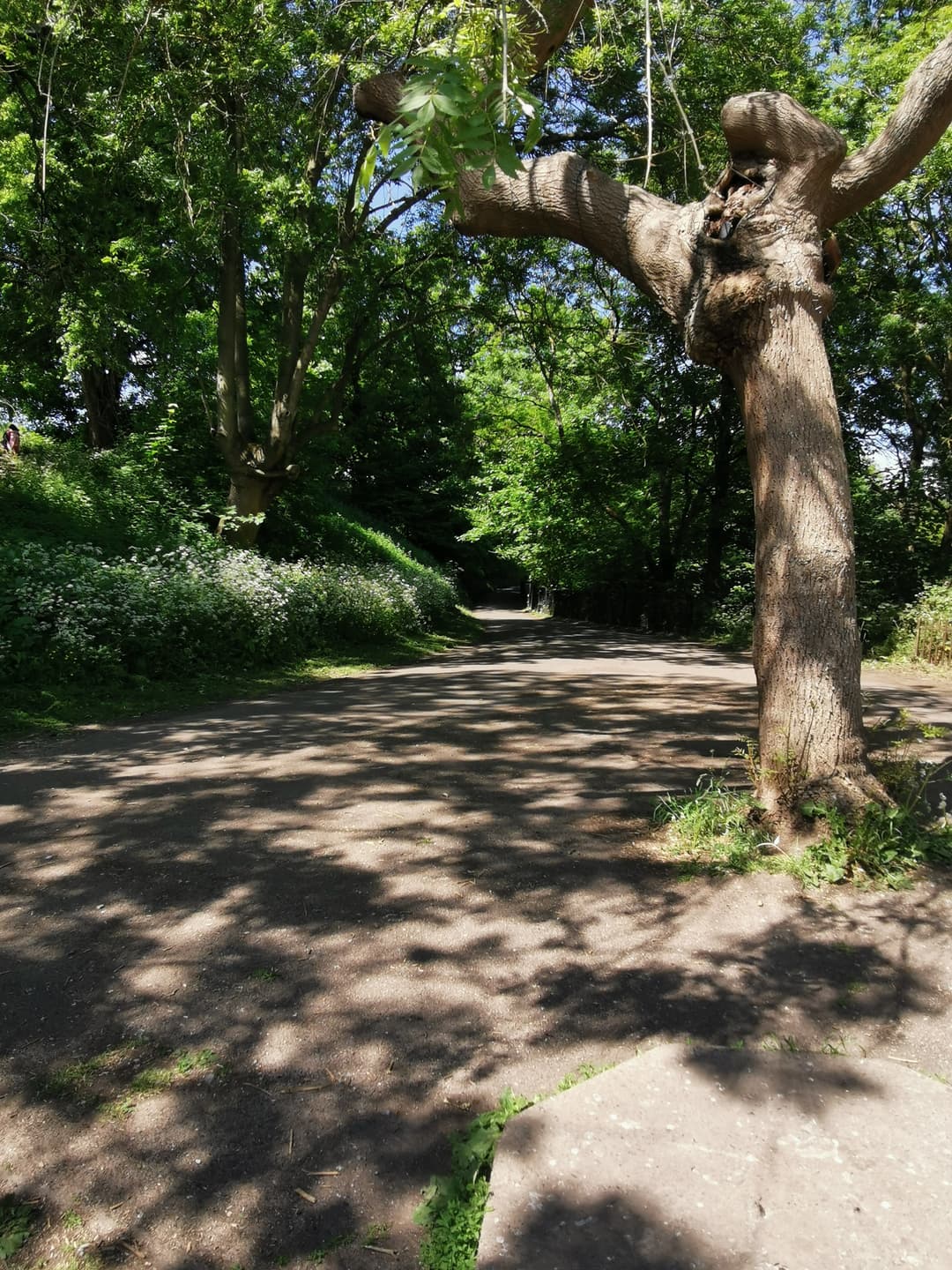 Eastville Park - image 2