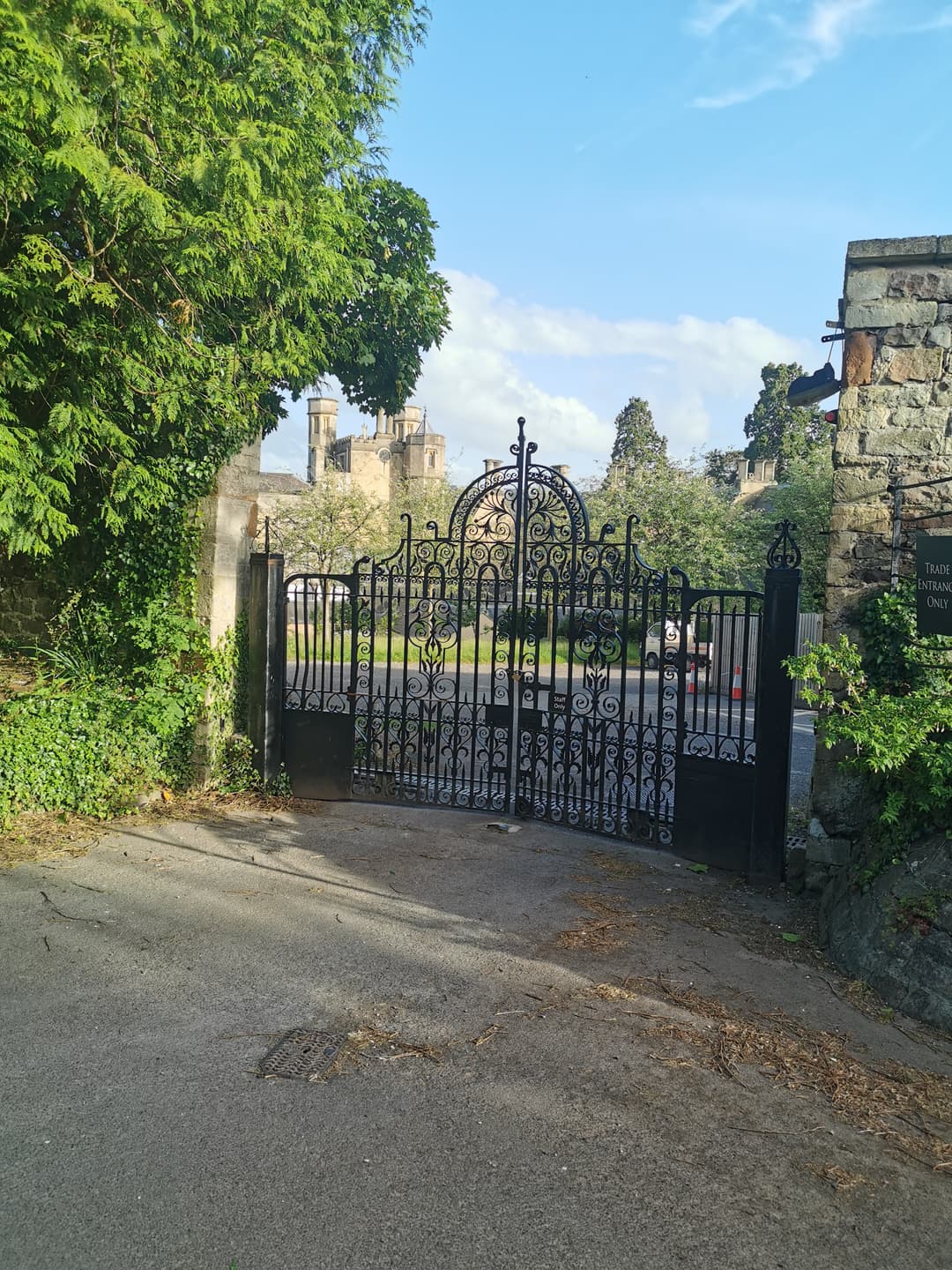 Ashton Court - image 2