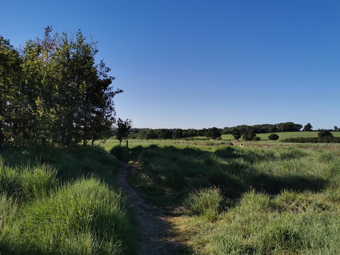 Shirehampton Park - image 1