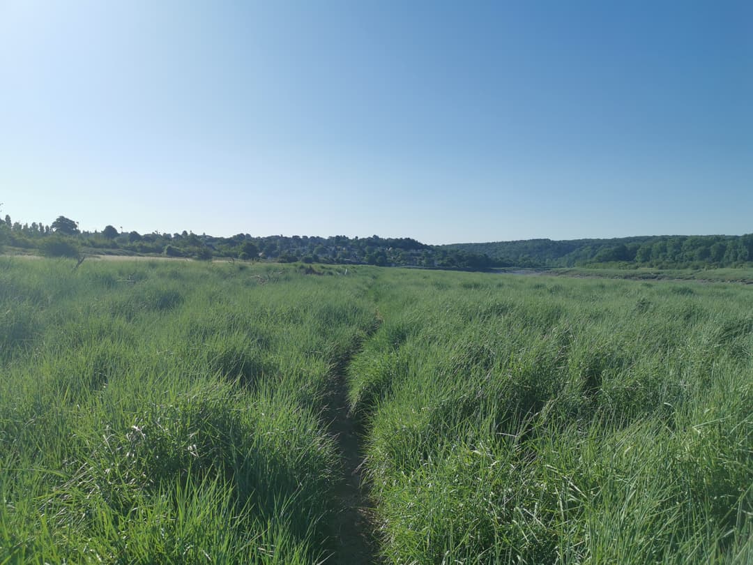 Shirehampton Park - image 1