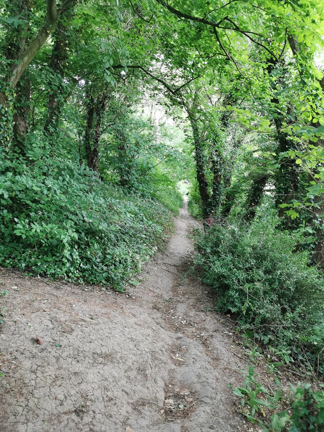 Almondsbury fields and Aztec - image 1