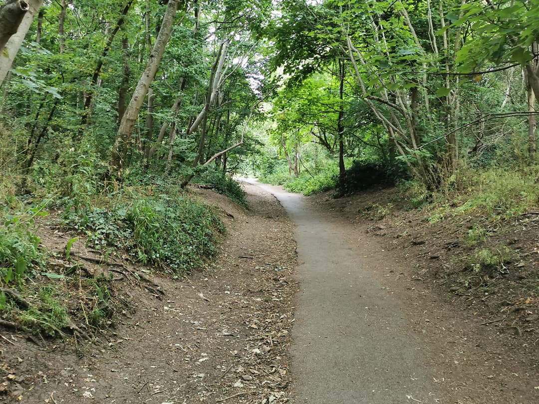 Badocks Wood - image 2