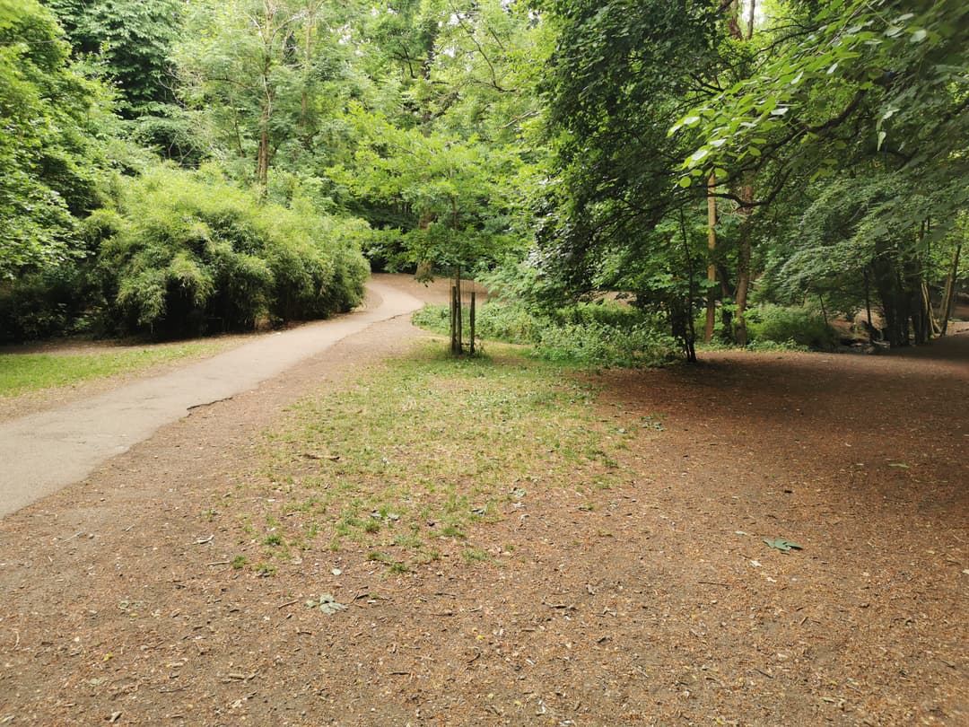 Badocks Wood - image 2