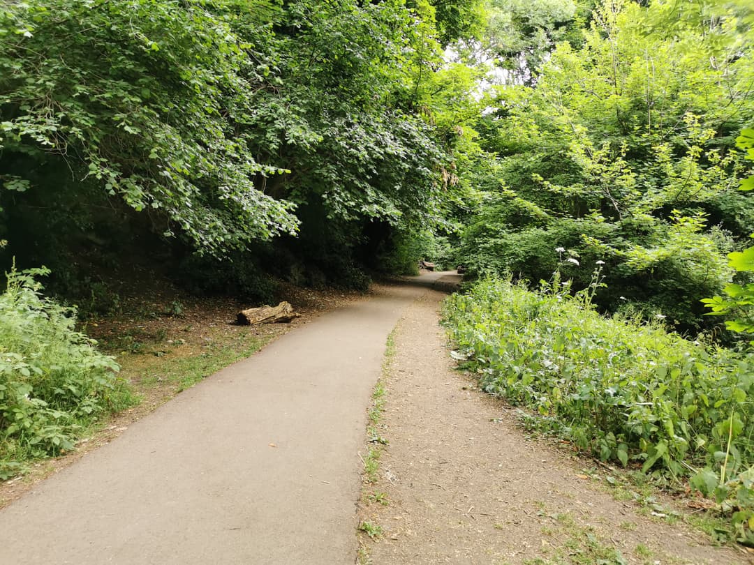 Badocks Wood - image 1