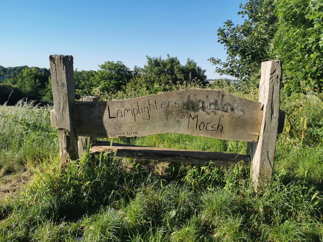 Lamplighters Marsh and Daisy Field - image 1