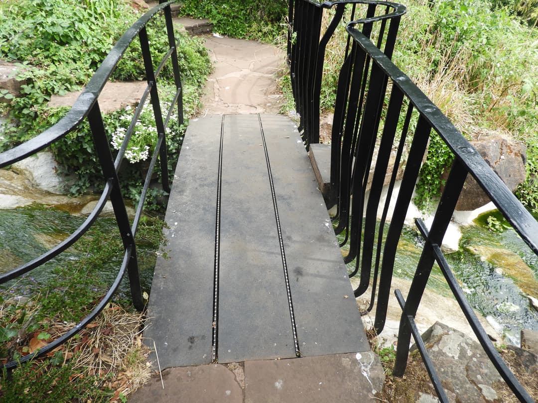 Brandon Hill Nature Reserve - image 1